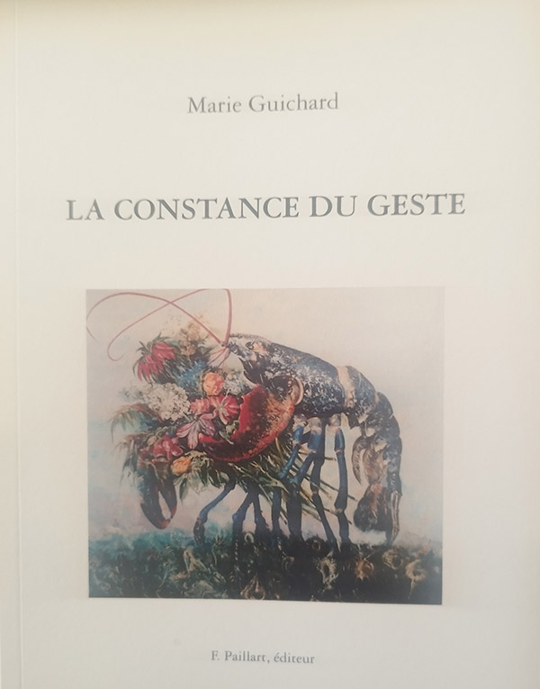 Couverture La constance du geste
